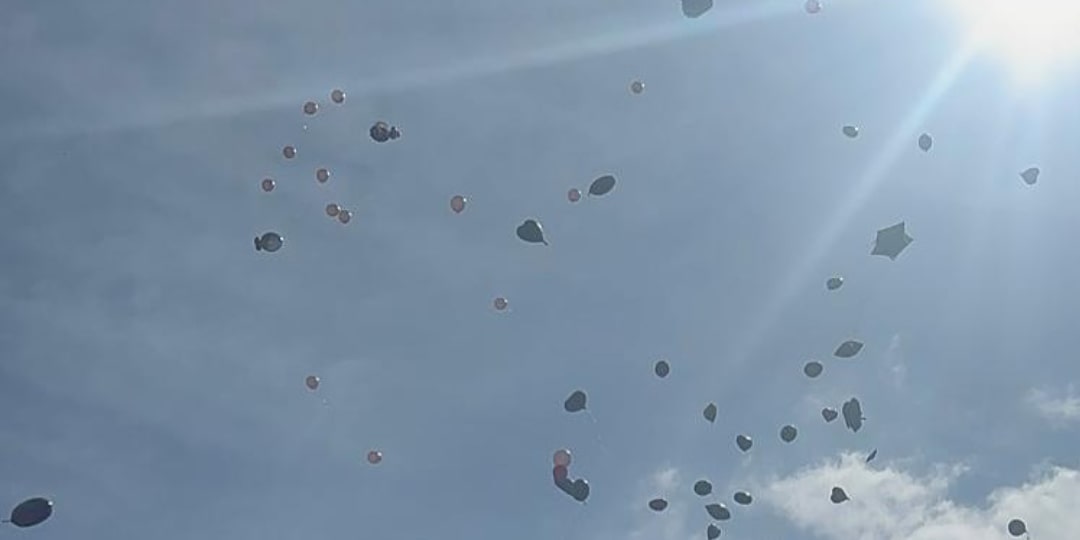 Emilee Tribute Video