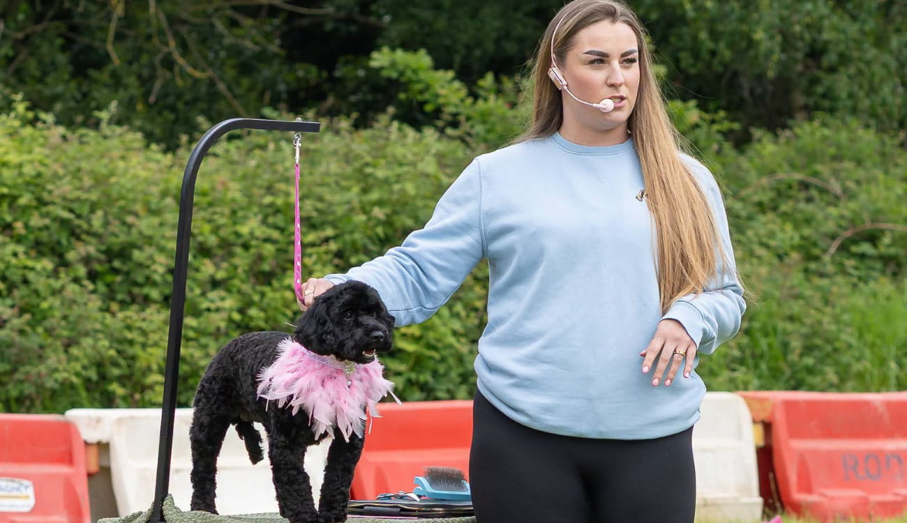 Dog Show
